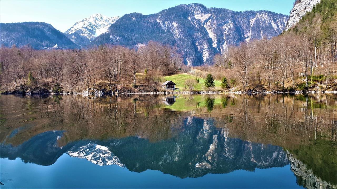 Haus Bellevue Lägenhet Obertraun Exteriör bild