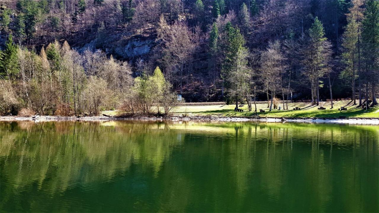 Haus Bellevue Lägenhet Obertraun Exteriör bild